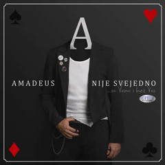 Amadeus Band - Nije svejedno 2011 (2012)