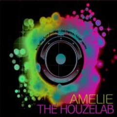 The Houzelab - Amelie (Funkybootleg Dub Mix)