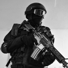 David Meiser - Assault Forces