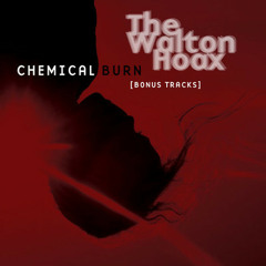 The Walton Hoax - Chemical Burn (ENiGMA Dubz Mix)