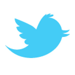 Twitter Voice Over