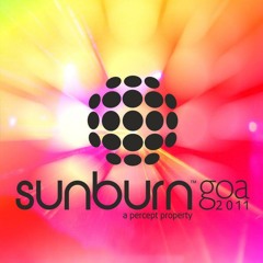 Axwell - Live Set @ Sunburn Festival, Goa 29.12.2011