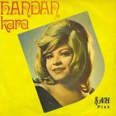 plak kayıt