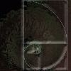 Trans-dimẹnsioπaal jůx