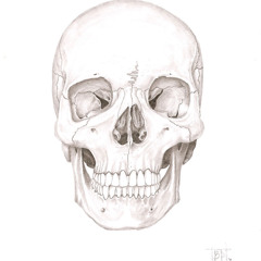 Dnrap - Mc Kanne - Jeyvier & Traidor Mc - Mueve El Craneo