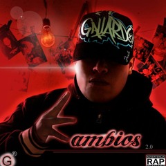 Vamos llegando - GALLARDO MX - KAMBIOS