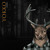 Artwork for FREE DOWNLOAD : Yokko - Chase