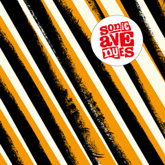 Sonic Avenues - Hiding From You