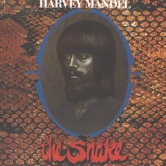 SSC37 Harvey Super System KK remix