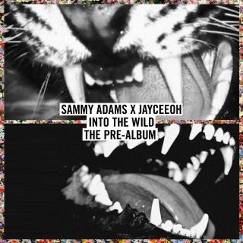 Into the Wild: A Mixtape By Sammy Adams
