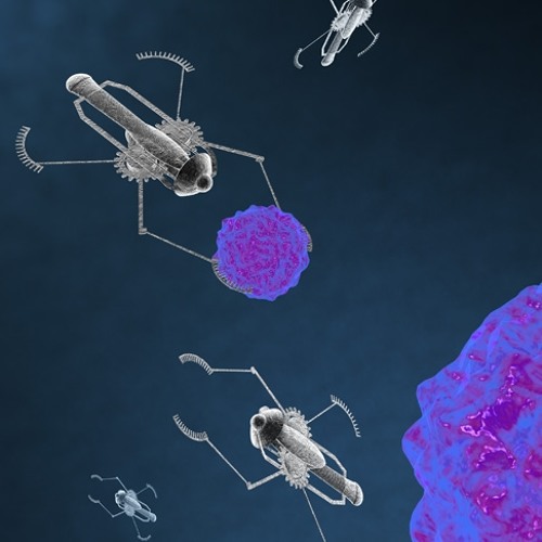 nanobot parasite