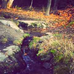 EGB colours of silence.