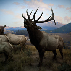 CC33 - Silver Spurs (demo version)