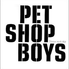 Pet Shop Boys-Love Etc(Dj petterz remix)