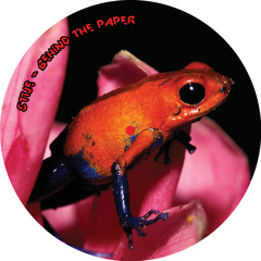 Stije - Behind the Paper (Origami Records Treefrog E.P)