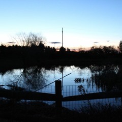 What I'm thinking right now