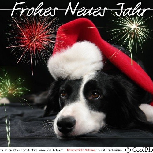 Toyaner &  Tonbohrer - frohes neues jahr