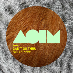 Aoim - Can't go Thru feat. Catnapp
