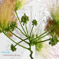Stonail - Mimosa Tree  (KVR OSC-35 Diva)
