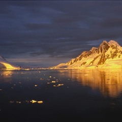 The Midnight(finished)