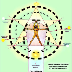 Ambitions (2000) Squid Virtual