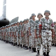 عمار الشريعى