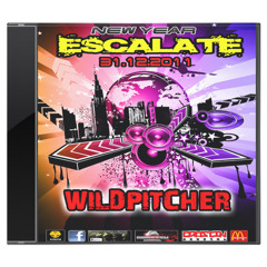 WILDPITCHER [LIVESET] 31.12.2011@NEW YEAR ESCALATE Postkutsche Mattsee