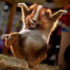 WooHooo!!! (BoDy MoViNg-- ReMiX)