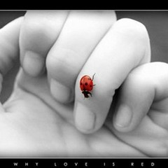 Kötü İnsanların Türküleri Yoktur