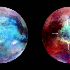 Neither this,Nor that