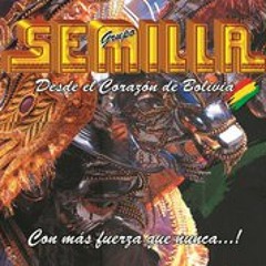 05.- Grupo Semilla (en vivo) - a)Selección de caporales b)El ciclon c)Ironias