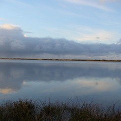 Coastal Vision (from cd "Shine On" )