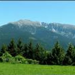 Back in your own backyard