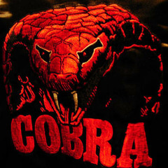 Teddybears - Cobrastyle ( NatHasA remix )