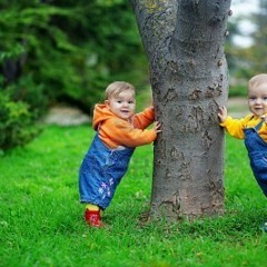 Babies In The Park
