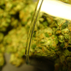 Rob Philth - Kush Lover(Btrippin Remix)Clip