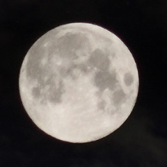 Chris Instinct & Tripledot - Curse