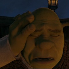 Rufus Wainwright - Hallelujah(bennoh remix)