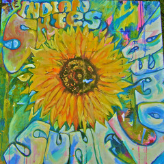 Indian Skies - In The Sun