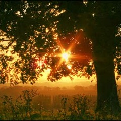 Keep on moving (2012)