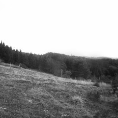 Hétérocère lullabi