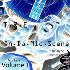 T.R.E -3. In Da City (Prod by - STRICTLY187mUrdA) (2010)