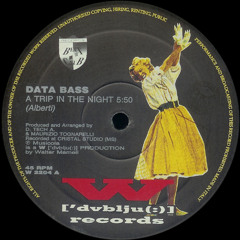 Data Bass - A Trip In The Night