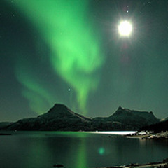 Rhubarb guitar version (aphex twin cover)