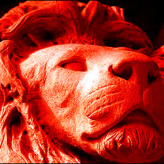 Lion Of Light Dub mix