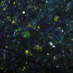 Lost my Mind (t.A.T.y Adeka dubstep remix)