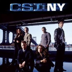 The Who - Baba O'Riley (Arygo's CSI NY tribute)