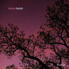 Lauhaus - Baobab (Sandy Huner Basement Mix)