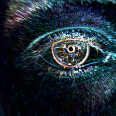 DJ Schu - Red Alert (VIP unmastered)