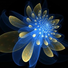 You Ain't Goin' Nowhere